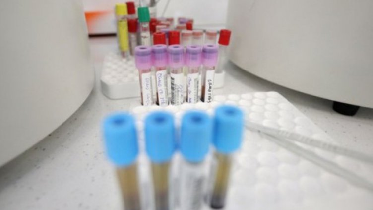 Снимка: Димитър Кьосемарлиев