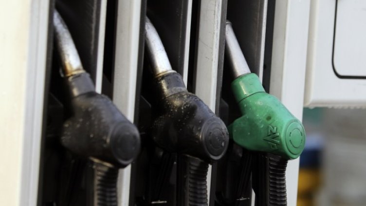 Снимка БГНЕС, архив