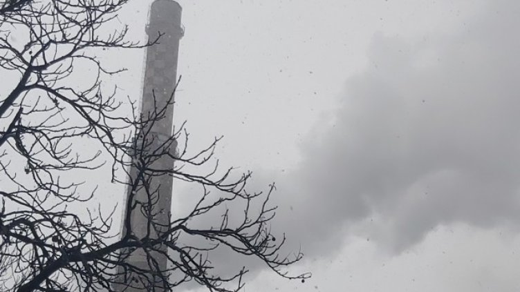 Снимка БГНЕС, архив