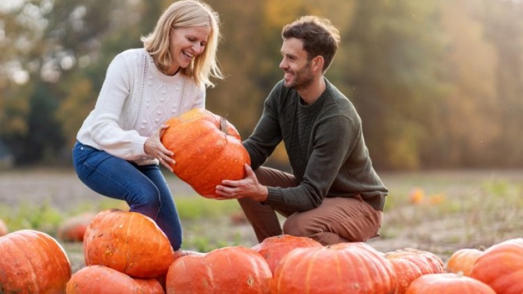 Снимка: iStock/PIKSEL