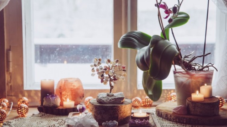 Снимка: Istock