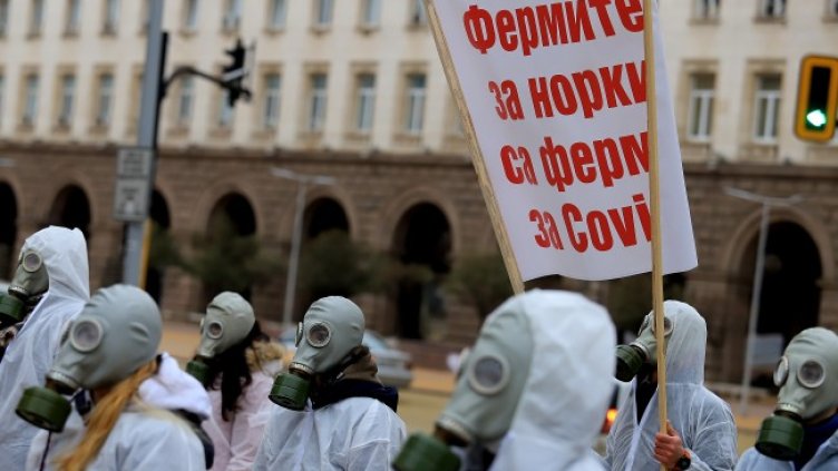 Снимка БГНЕС, архив