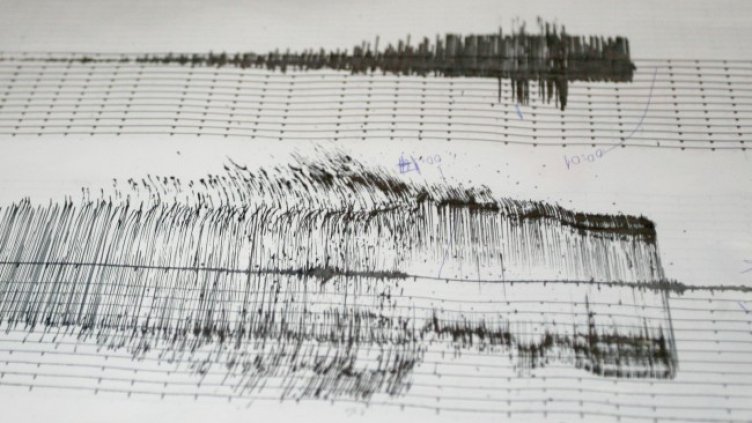 Снимка: архив, БГНЕС