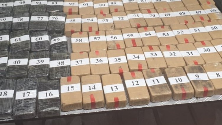 Снимка: БГНЕС, архив