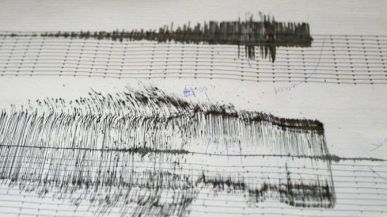 Снимка: архив, БГНЕС