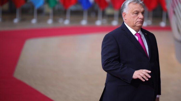 Снимка: архив, БГНЕС