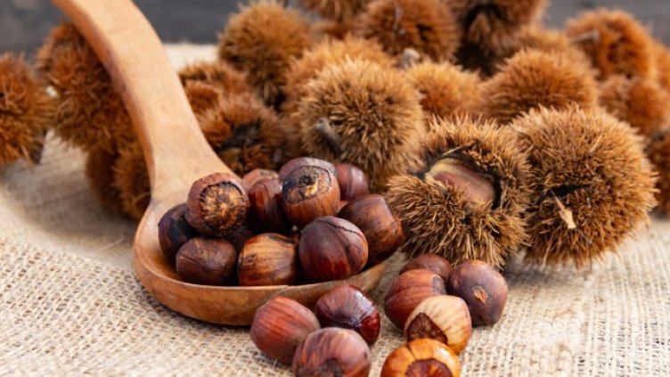 Снимка: Istock