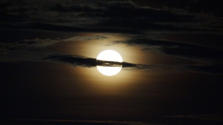 Снимка: iStock/Mohamed Amin