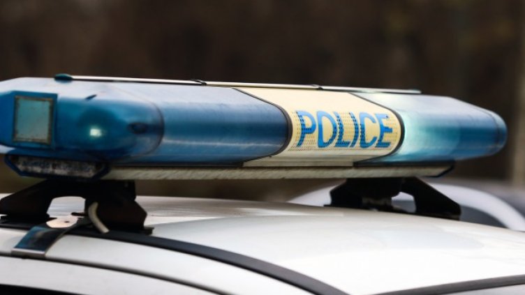 Снимка: архив, БГНЕС