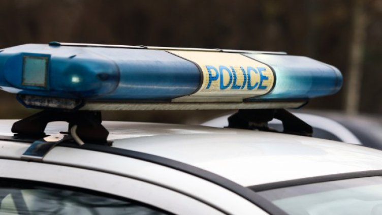 Снимка: архив, БГНЕС