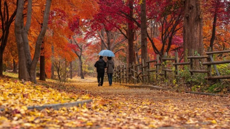 Снимка: Pixabay