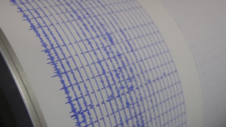 Снимка: архив, БГНЕС