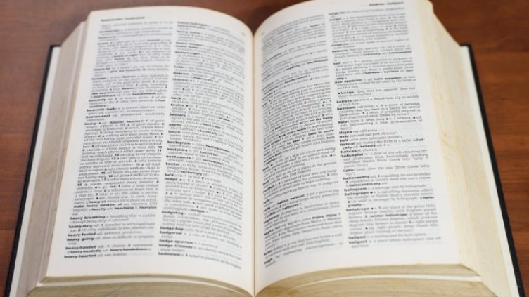 Снимка: astize/Pixabay