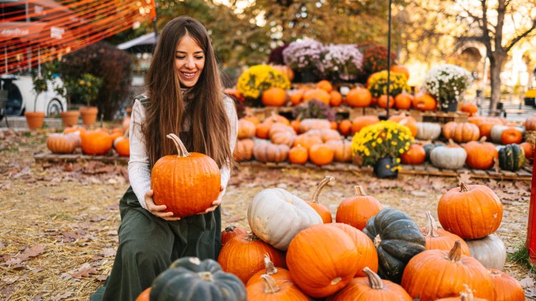 Снимка: iStock/Vuk Saric