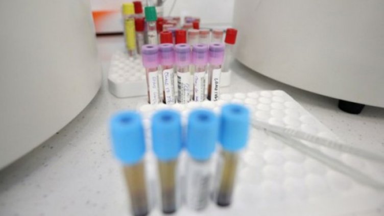 Снимка: Димитър Кьосемарлиев