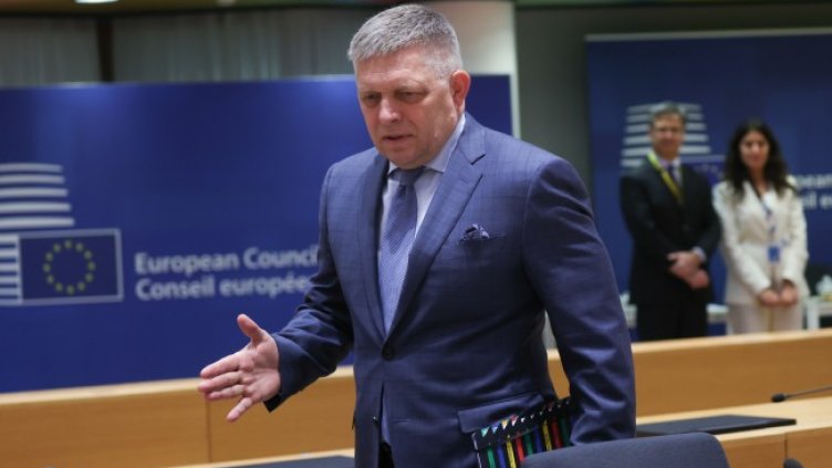 Снимка: архив, БГНЕС