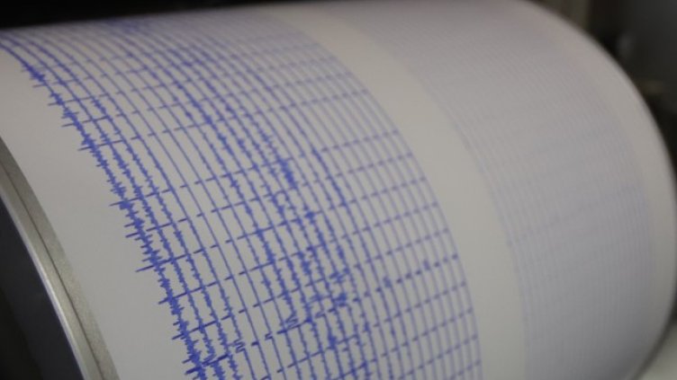 Снимка: архив, БГНЕС