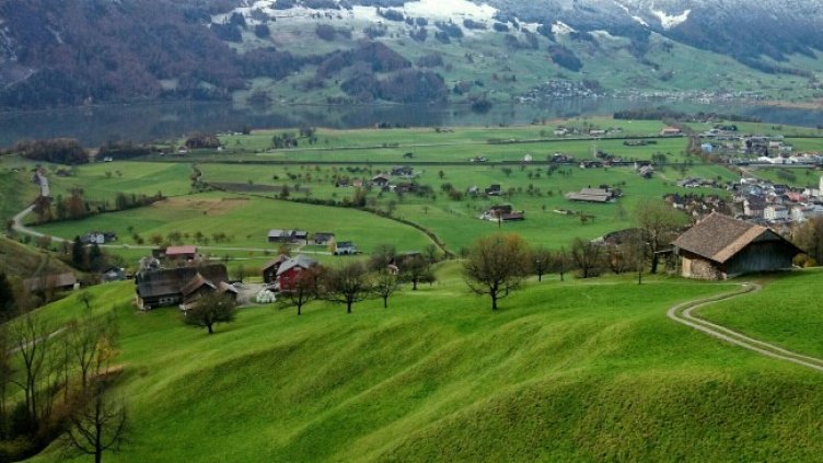 Снимка: Pixabay