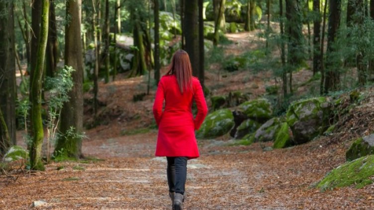 Снимка: iStock/StockPhotosArt