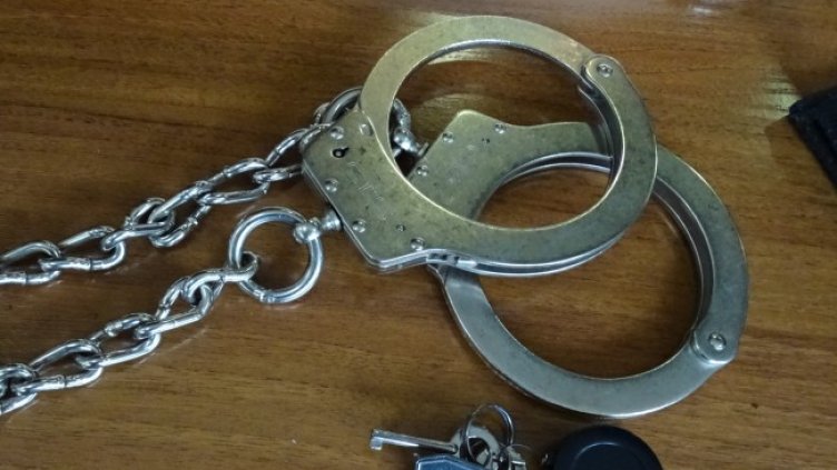 Снимка БГНЕС, архив