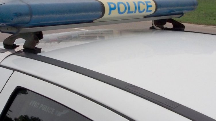 Снимка БГНЕС, архив