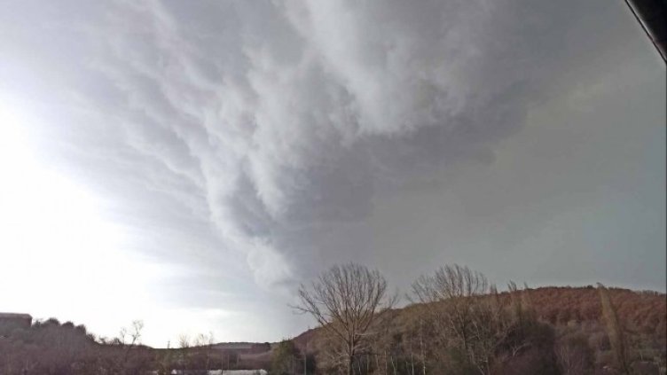 Снимка: Facebook