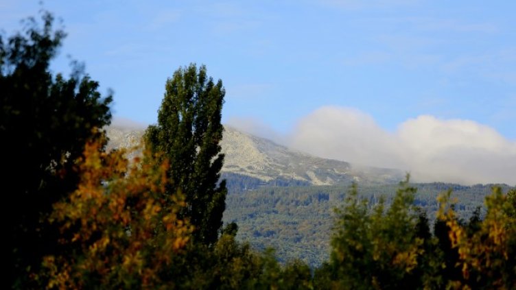 Снимка: архив, БГНЕС