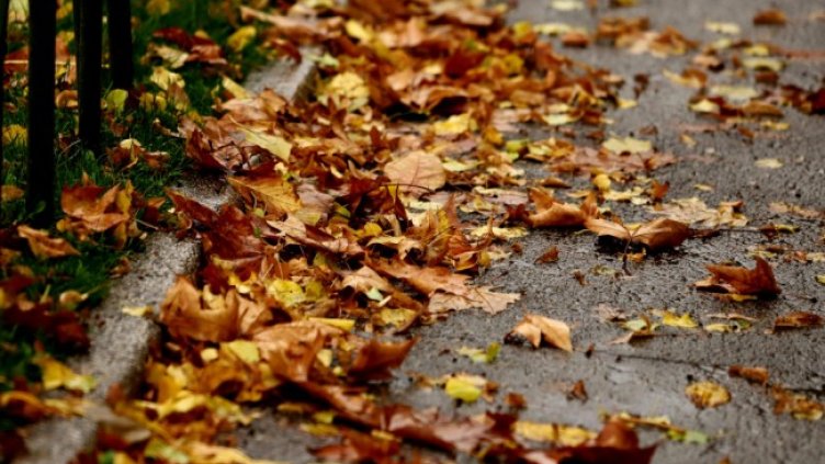 Снимка: архив, БГНЕС