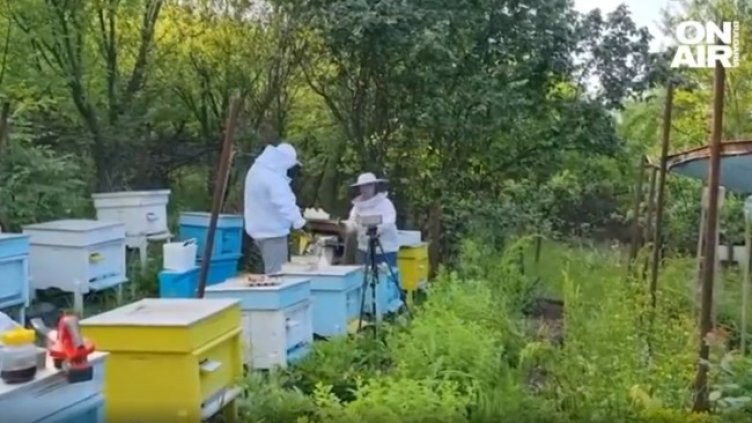 Снимка: Bulgaria ON AIR