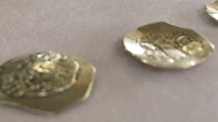 Снимка БГНЕС, архив