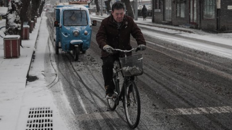 Снимка: архив, БГНЕС