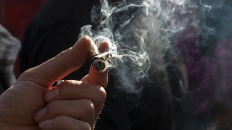 Снимка: архив, БГНЕС