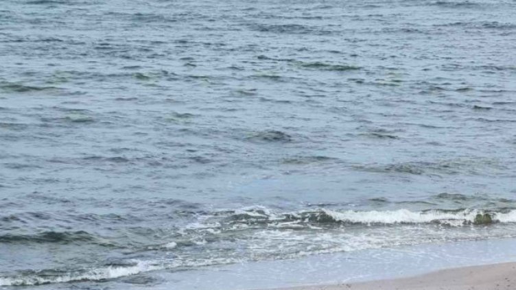 Снимка БГНЕС, архив