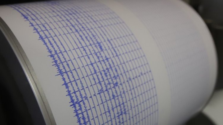 Снимка: архив, БГНЕС