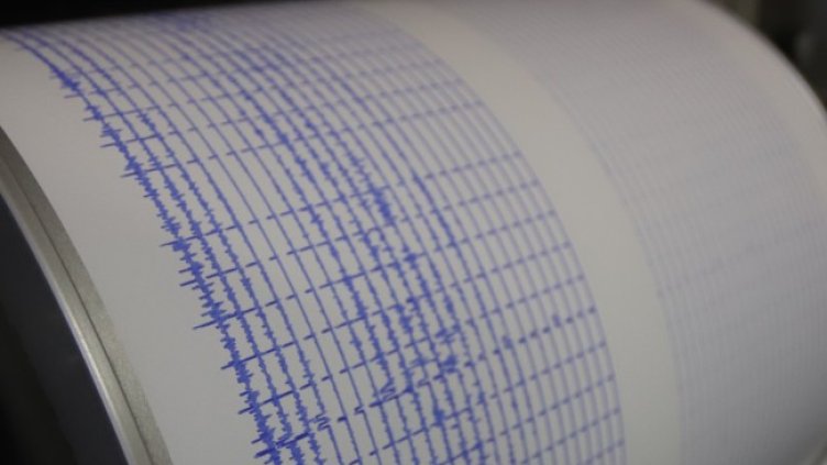 Снимка: архив, БГНЕС