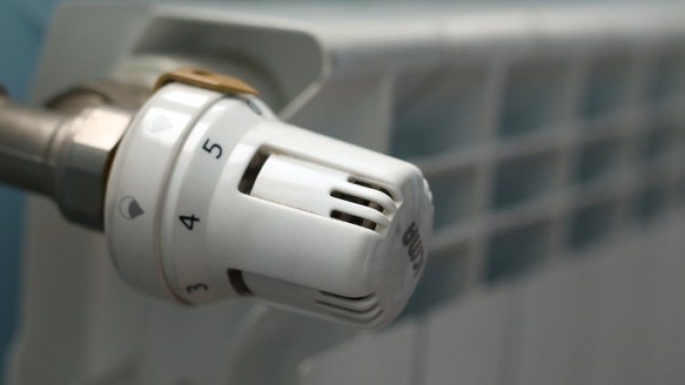 Снимка БГНЕС, архив