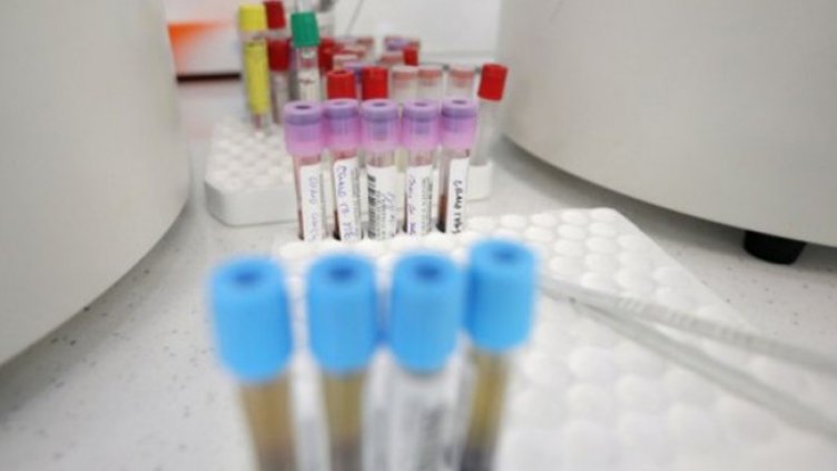 Снимка: Димитър Кьосемарлиев