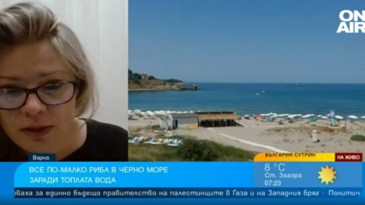 Снимка: Bulgaria ON AIR