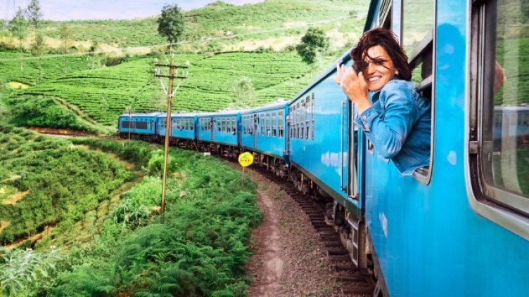 Снимка: iStock/Solovyova