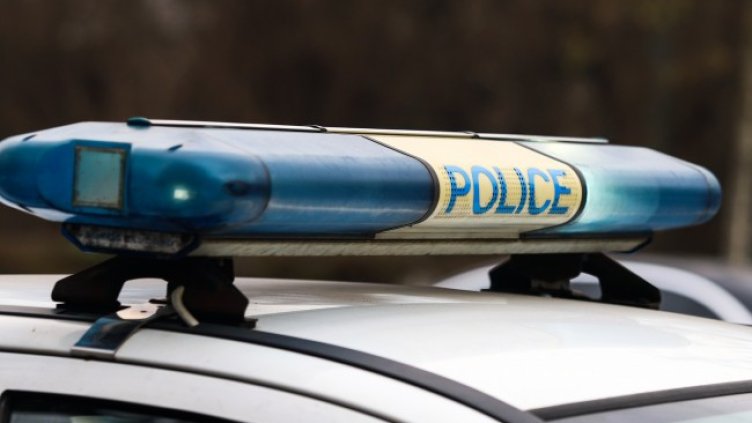 Снимка: архив, БГНЕС