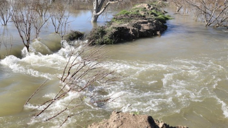 Снимка: архив, БГНЕС