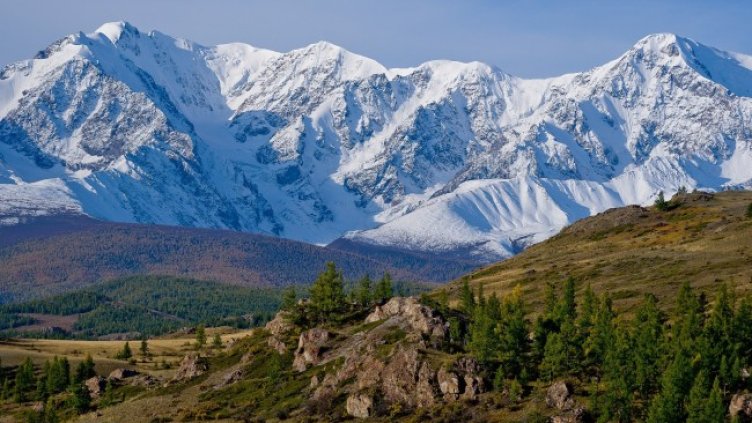 Снимка: Pixabay