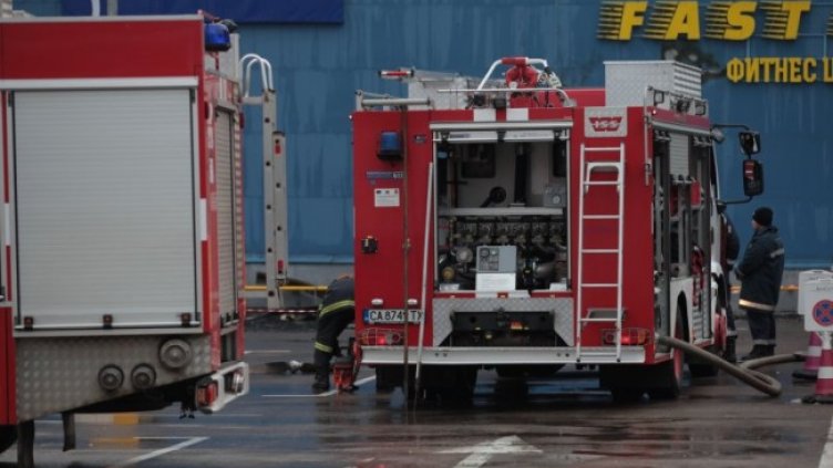 Снимка: Димитър Кьосемарлиев, Dnes.bg