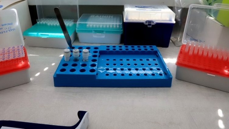 Снимка: архив, БГНЕС