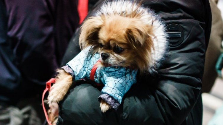 Снимка: БГНЕС/ЕРА