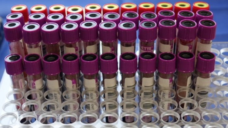 Снимка: Димитър Кьосемарлиев