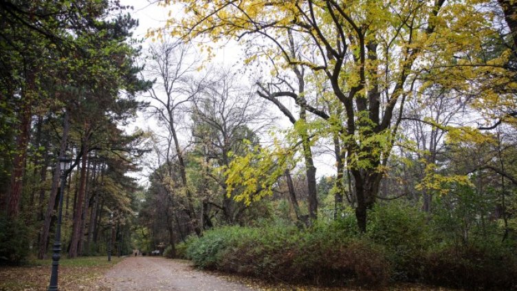 Снимка: архив, БГНЕС