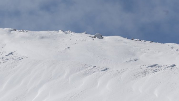 Снимка: архив, БГНЕС