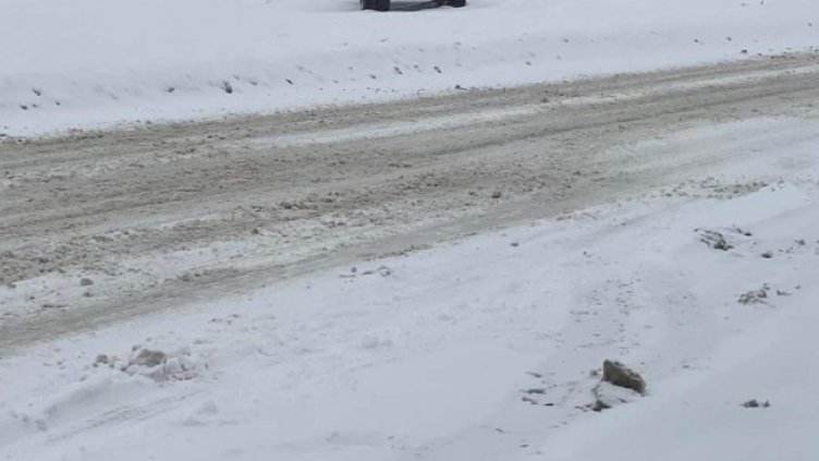 Снимка: архив, БГНЕС