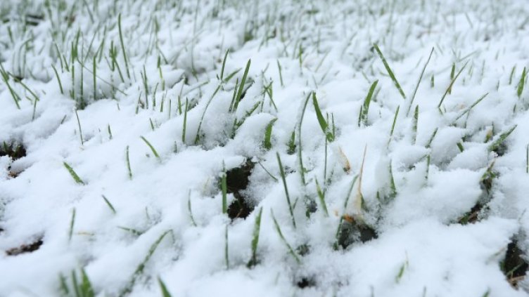 Снимка: архив, БГНЕС